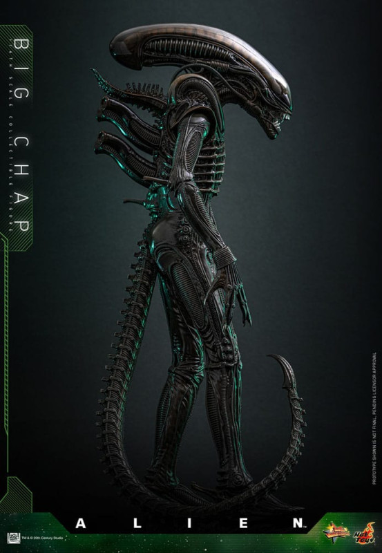 Alien Movie Masterpiece Action Figure 1/6 Big Chap 36 cm 7
