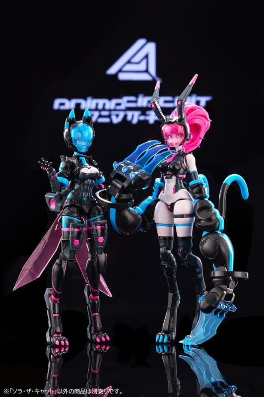 Anima Circuit Plastic Model Sora the Cat SP 17 cm 11