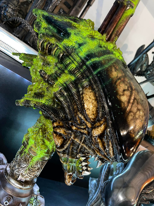 Predator trophy head with spear 4