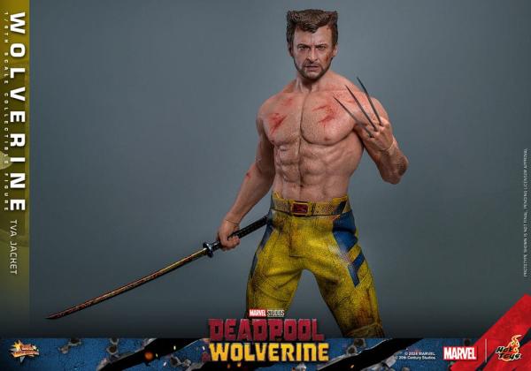 Deadpool & Wolverine Movie Masterpiece Action Figure 1/6 Wolverine (TVA Jacket Version) 31