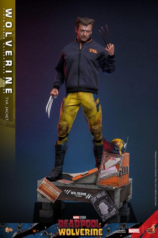 Deadpool & Wolverine Movie Masterpiece Action Figure 1/6 Wolverine (TVA Jacket Version) 31