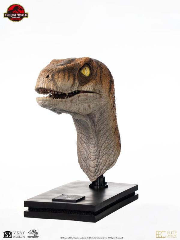 Jurassic Park Life-Size Bust Male Velociraptor 75 cm