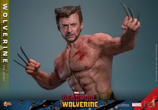 Deadpool & Wolverine Movie Masterpiece Action Figure 1/6 Wolverine (TVA Jacket Version) 31