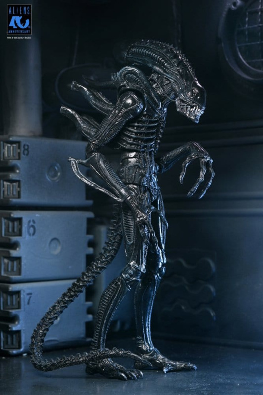 Aliens Ultimate Action Figure Warrior (1986) Xenomorph Black (40th Anniversary) 23 cm 13
