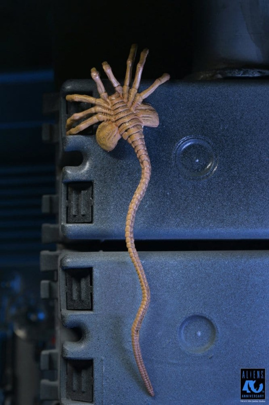 Aliens Ultimate Action Figure Warrior (1986) Xenomorph Black (40th Anniversary) 23 cm 8