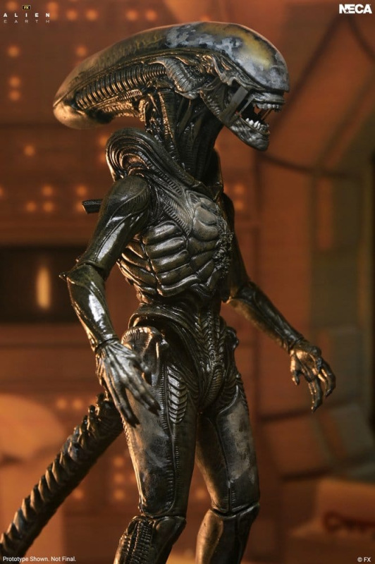 Alien: Earth Ultimate Action Figure Wendy's Xenomorph 18 cm 2