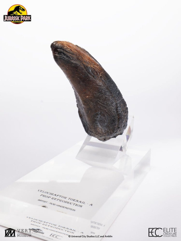 Jurassic Park 1/1 Replica Velociraptor Toenail Type A 11 cm 3
