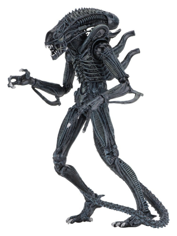 Aliens Ultimate Action Figure Warrior (1986) Blue 23 cm 4