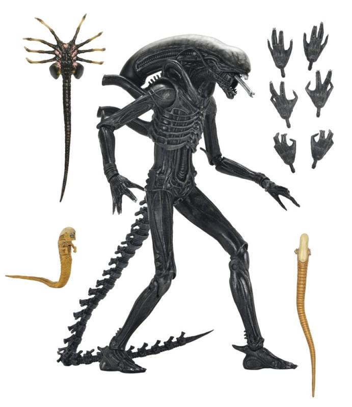 Alien: Romulus Action Figure Ultimate Xenomorph XX121 18 cm 14