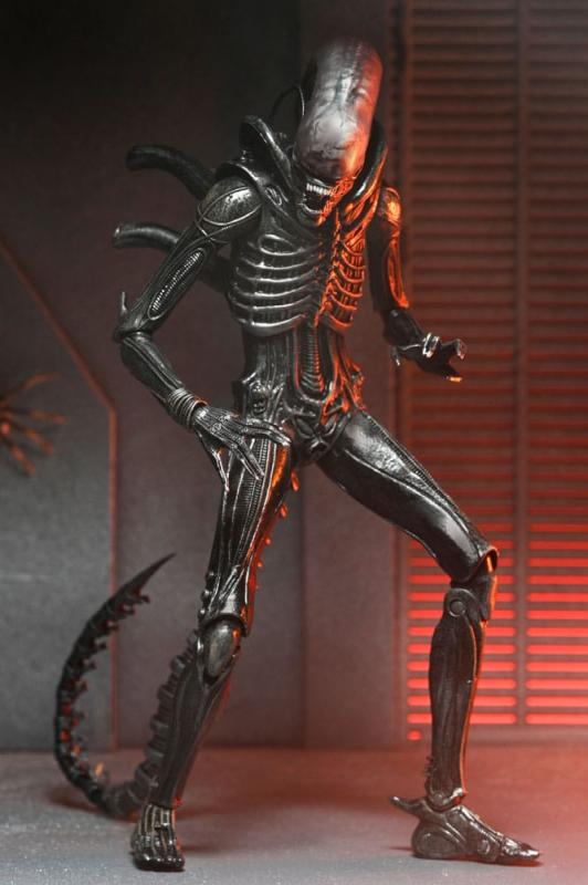 Alien: Romulus Action Figure Ultimate Xenomorph XX121 18 cm 9