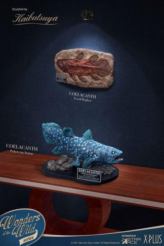 Wonders of the Wild: Coelacanth 28 cm Statue Deluxe Version - X-Plus
