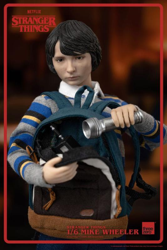 Stranger Things Action Figure 1/6 Mike Wheeler 24 cm