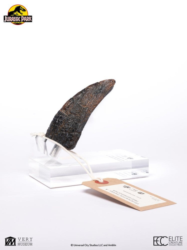 Jurassic Park 1/1 Replica Velociraptor Toenail Type A 11 cm 10