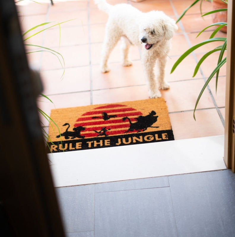 Disney The Lion King Doormat Rule The Jungle 40 x 60 cm 5