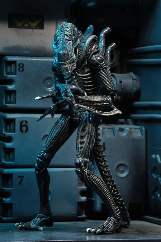Aliens Ultimate Action Figure Warrior (1986) Blue 23 cm 8