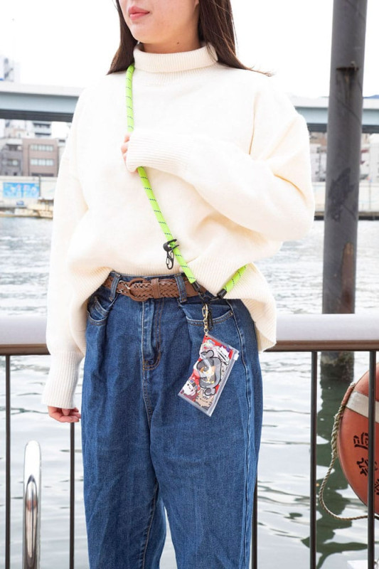 One Piece Mega Cat Project Nyan Piece Nyan! Trading Figure with pouch Luffy 2025 Limited Edition 7 c 5