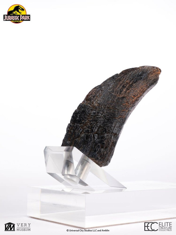 Jurassic Park 1/1 Replica Velociraptor Toenail Type A 11 cm 5