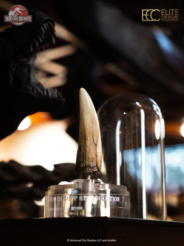 Jurassic Park III Prop Replica 1/1 Spinosaurus Tooth 14 cm 10