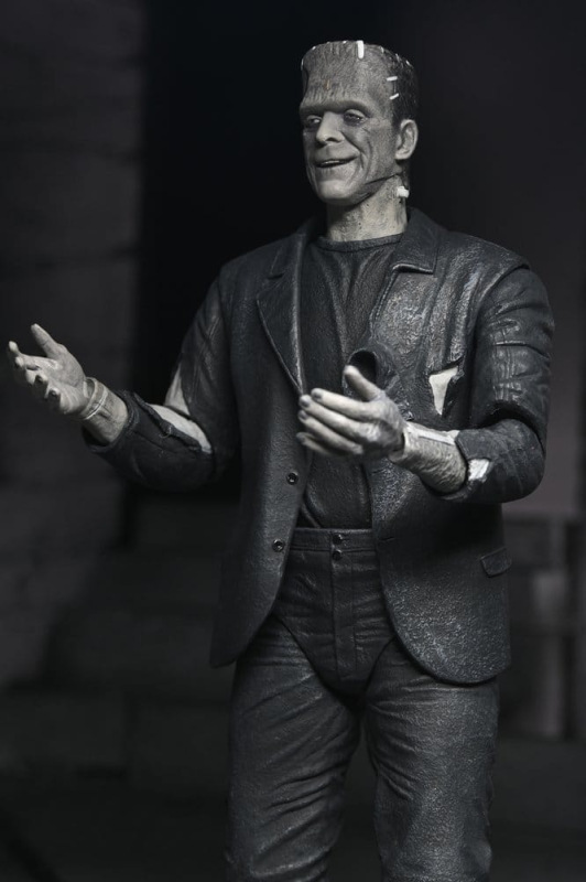 Universal Monsters 2-Pack Action Figure Bride of Frankenstein 90th Anniversary The Monster & His Mat 7