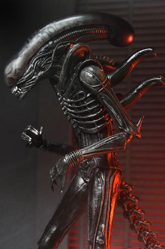 Alien: Romulus Action Figure Ultimate Xenomorph XX121 18 cm 10