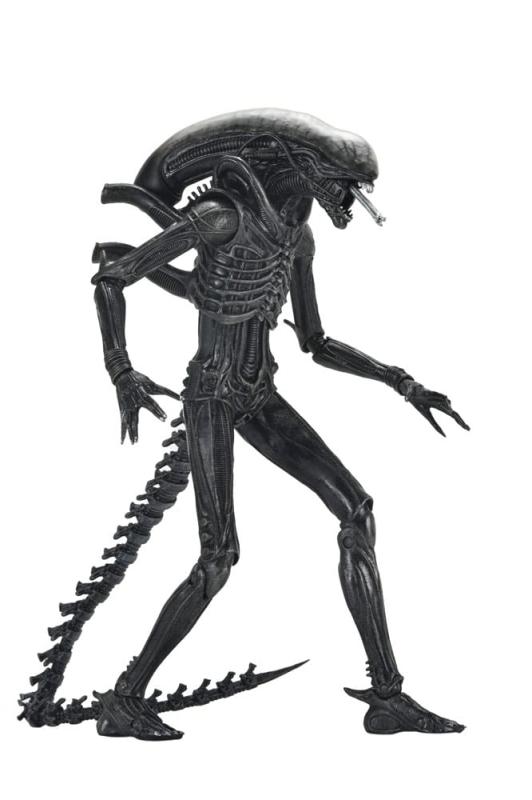 Alien: Romulus Action Figure Ultimate Xenomorph XX121 18 cm 7