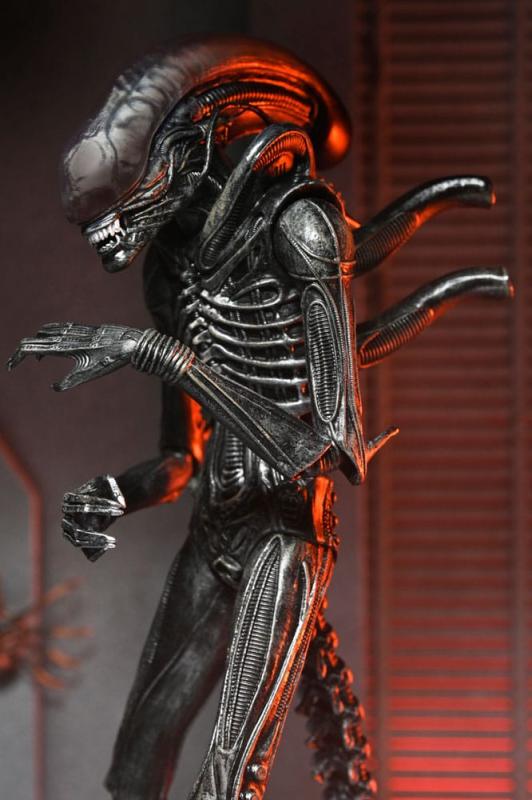 Alien: Romulus Action Figure Ultimate Xenomorph XX121 18 cm 8