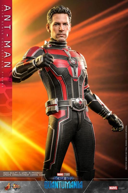 Ant-Man & The Wasp Quantumania: The Ant-Man 1/6 Movie Masterpiece Action Figure - Hot Toys