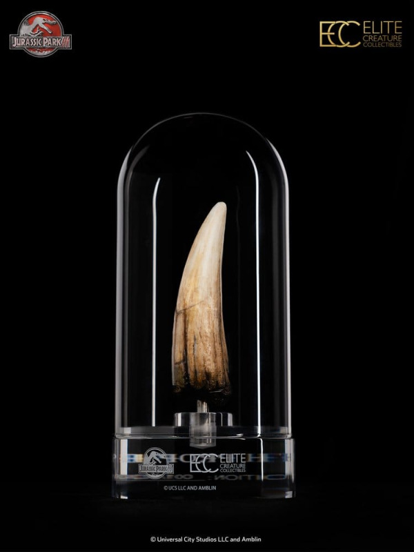 Jurassic Park III Prop Replica 1/1 Spinosaurus Tooth 14 cm 1