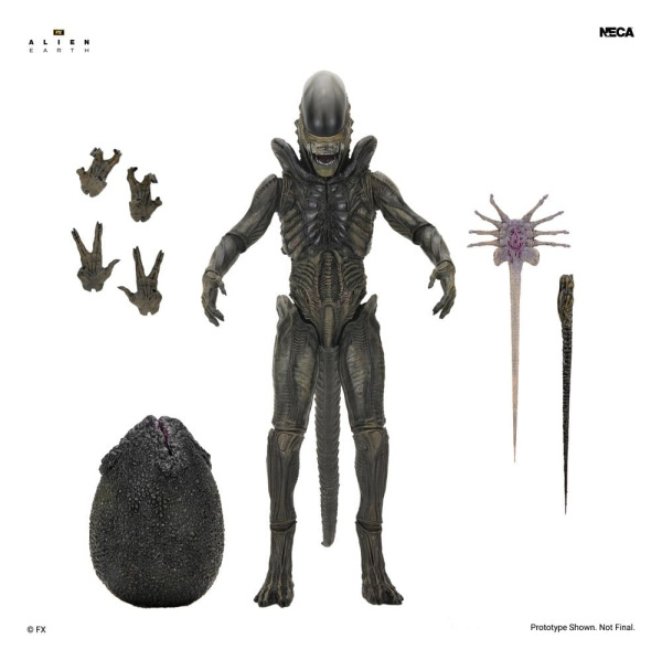 Alien: Earth Ultimate Action Figure Xenomorph 18 cm 1