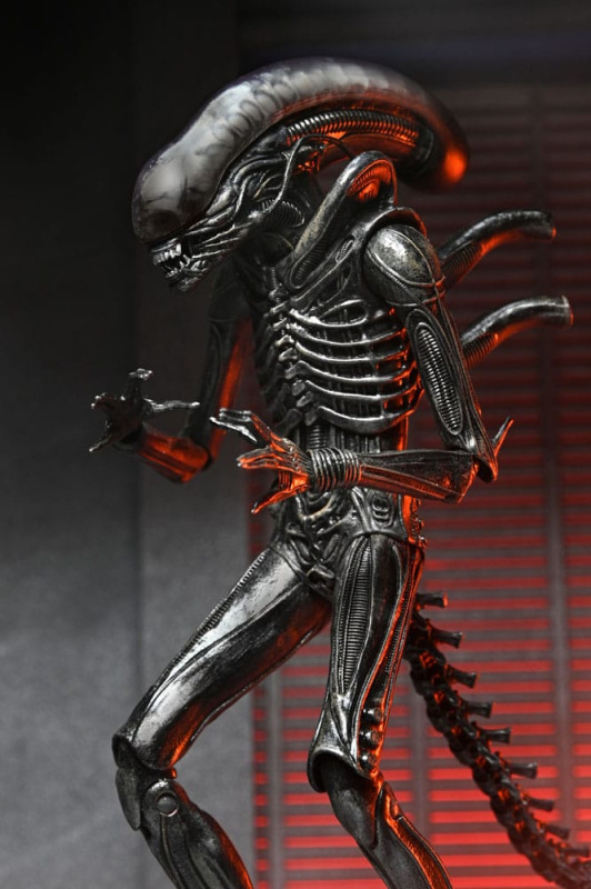 Alien: Romulus Action Figure Ultimate Xenomorph XX121 18 cm 12