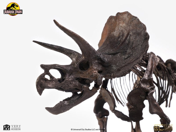 Jurassic Park Statue 1/24 Triceratops Fossil Skeleton Bronze 35 cm 1
