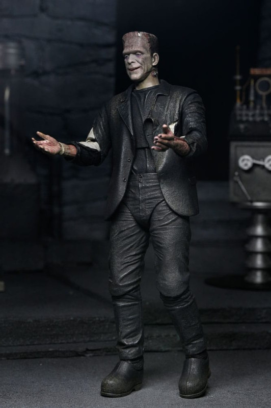 Universal Monsters Action Figures 2-Pack Bride of Frankenstein 90th Anniversary The Monster & His Ma 10