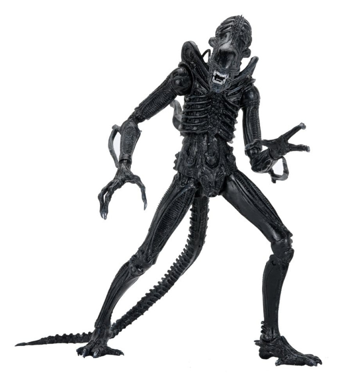 Aliens Ultimate Action Figure Warrior (1986) Xenomorph Black (40th Anniversary) 23 cm