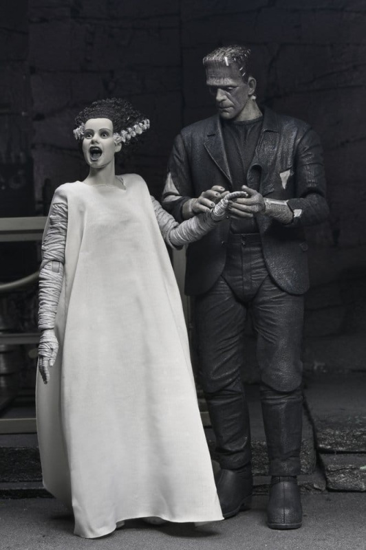 Universal Monsters 2-Pack Action Figure Bride of Frankenstein 90th Anniversary The Monster & His Mat 11