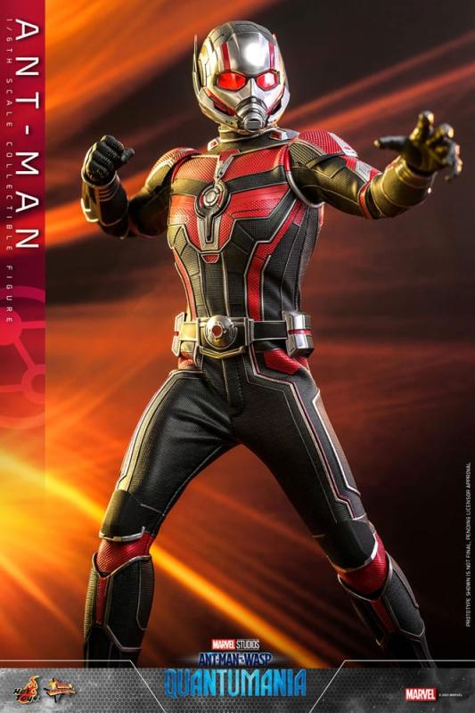 Ant-Man & The Wasp Quantumania: The Ant-Man 1/6 Movie Masterpiece Action Figure - Hot Toys