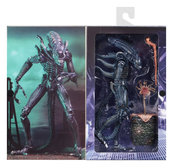 Aliens Ultimate Action Figure Warrior (1986) Blue 23 cm 3
