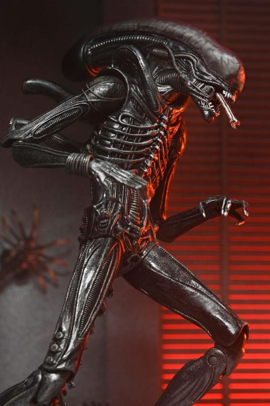 Alien: Romulus Action Figure Ultimate Xenomorph XX121 18 cm 6