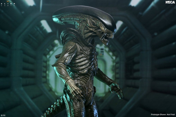 Alien: Earth Ultimate Action Figure Xenomorph 18 cm 3