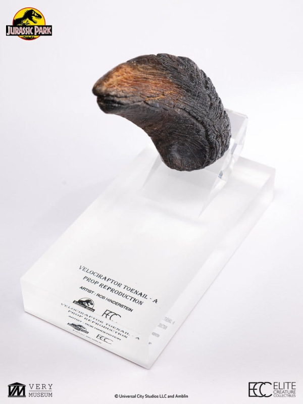 Jurassic Park 1/1 Replica Velociraptor Toenail Type A 11 cm 2