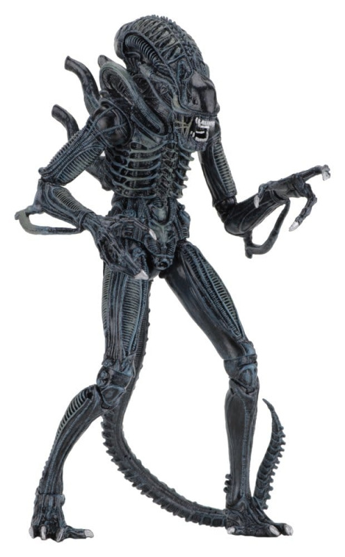 Aliens Ultimate Action Figure Warrior (1986) Blue 23 cm 5