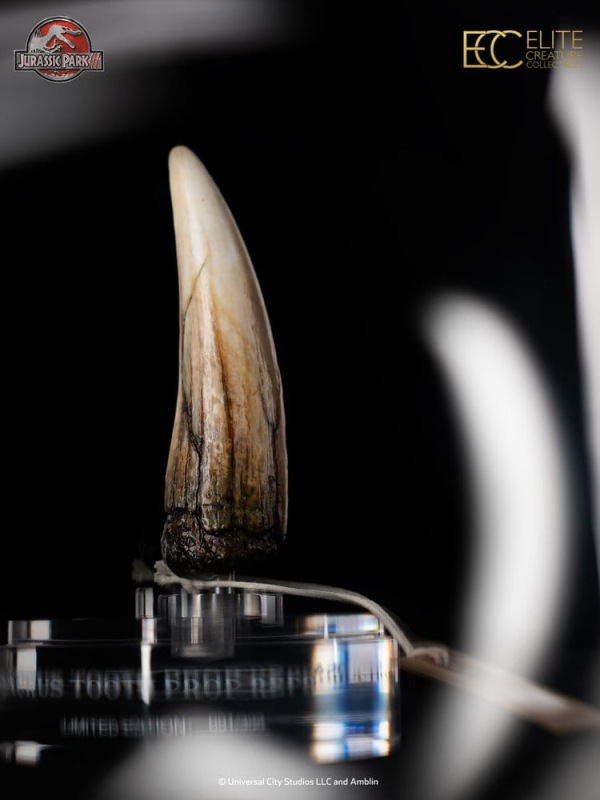 Jurassic Park III Prop Replica 1/1 Spinosaurus Tooth 14 cm 7