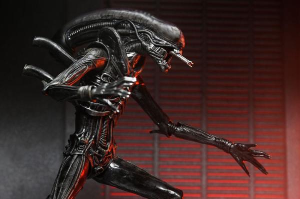 Alien: Romulus Action Figure Ultimate Xenomorph XX121 18 cm 4