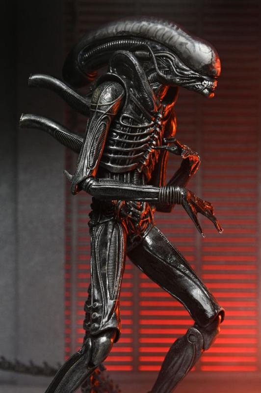 Alien: Romulus Action Figure Ultimate Xenomorph XX121 18 cm 13