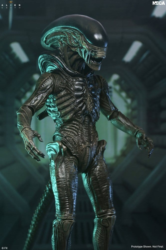 Alien: Earth Ultimate Action Figure Xenomorph 18 cm 2