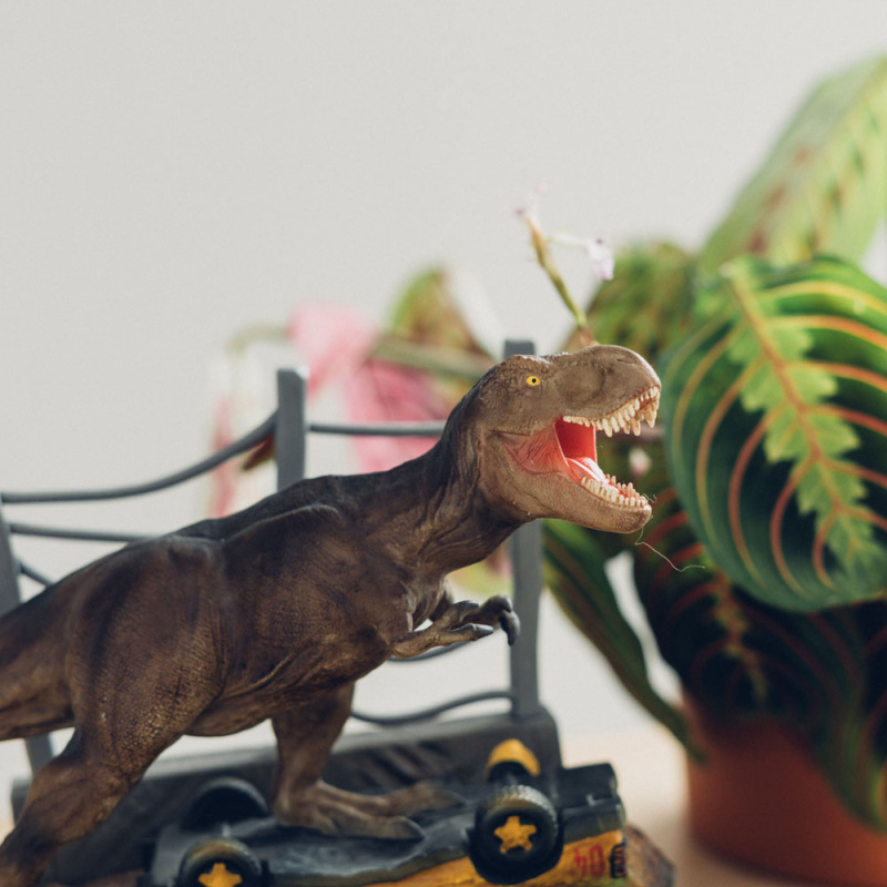 Jurassic Park 3D perpetual Calendar 6