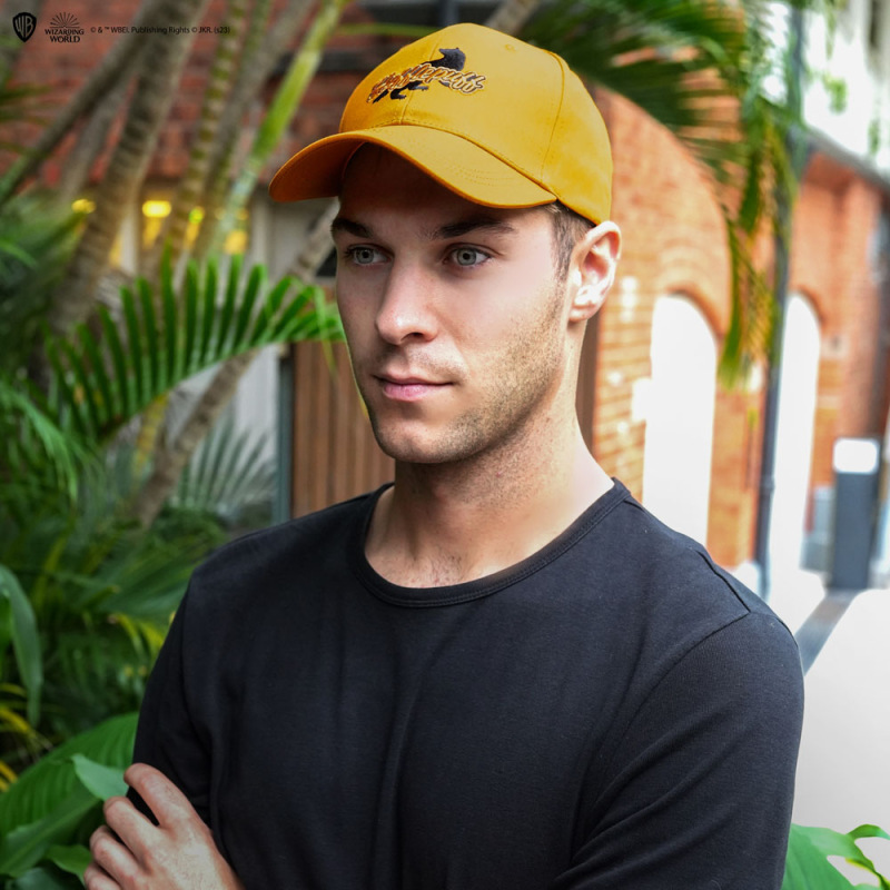 Harry Potter Curved Bill Cap Hufflepuff 1