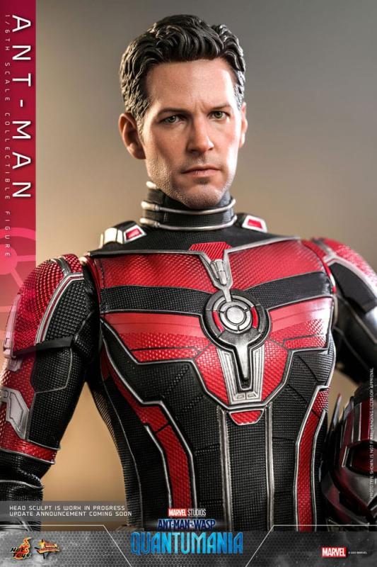 Ant-Man & The Wasp Quantumania: The Ant-Man 1/6 Movie Masterpiece Action Figure - Hot Toys