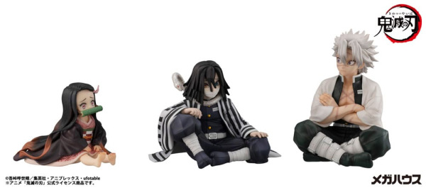 Demon Slayer Kimetsu no Yaiba G.E.M. PVC Statue Shinazugawa-san Palm Size 9 cm 6