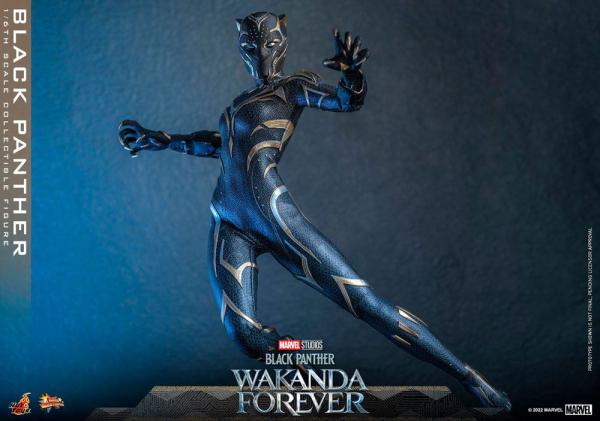 Black Panther Wakanda Forever: Black Panther 1/6 Action Figure - Hot Toys