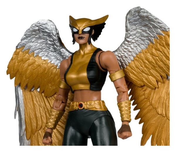 DC Multiverse McFarlane Collector Edition Action Figure Hawkgirl (Kendra Saunders) 28 cm 3